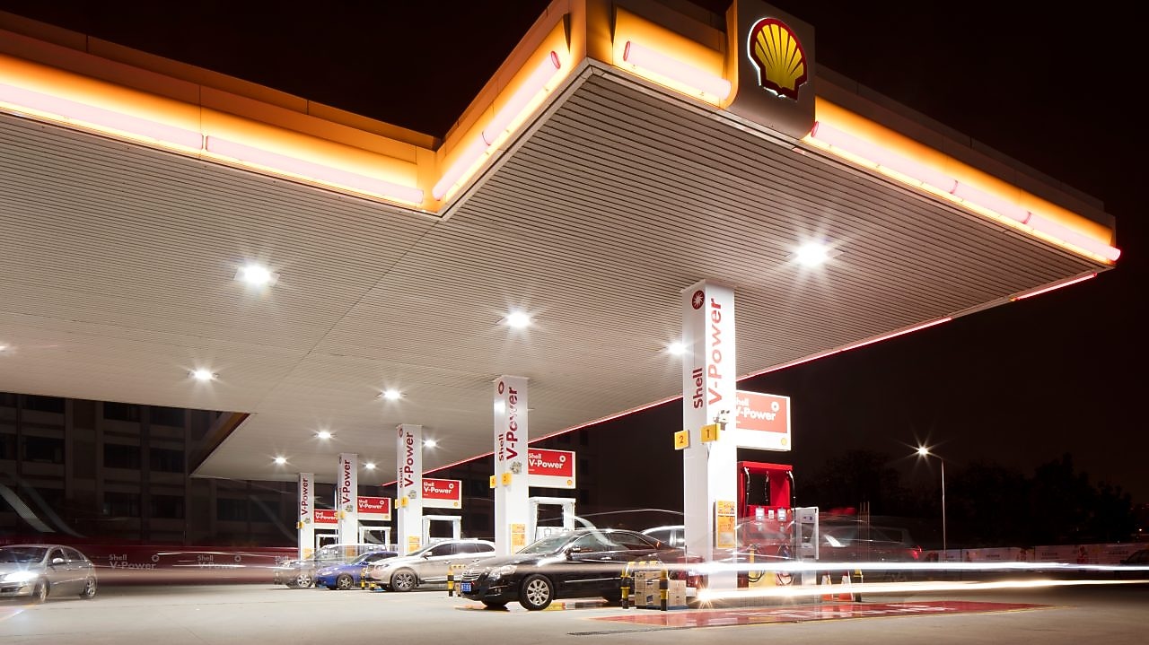 Shell pecten la nuit