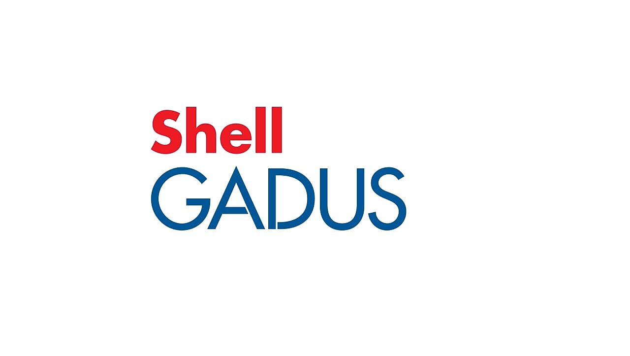 Graisses Shell Gadus