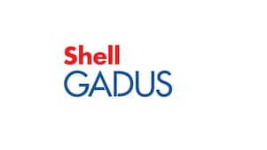 Graisses Shell Gadus