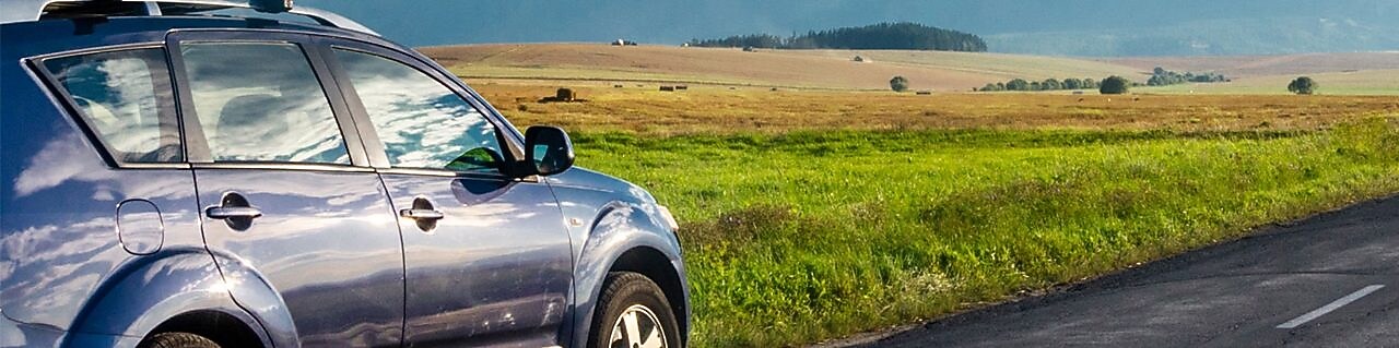 Roads that change colors in spring