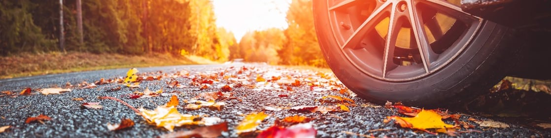 Ifrane et régions : le maroc sous les couleurs de l’automne