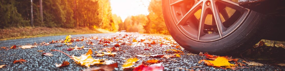 Ifrane et régions : le maroc sous les couleurs de l’automne