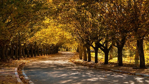 Ville d’Ifrane
