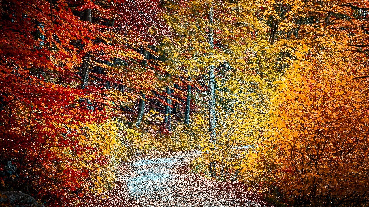 Ras El Ma et Route d’Azrou