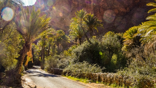 Découvre la beauté d’une architecture ancestrale sur la célèbre Route des Kasbahs