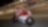 Pilote Ducati roulant vite sur une moto, sur un circuit, de nuit.