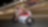 Pilote Ducati roulant vite sur une moto, sur un circuit, de nuit.