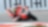 Pilote Ducati sur une superbike pendant une course de championnat du monde de Superbike