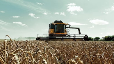 agriculture european farming wheat combine harvester