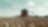 agriculture european farming wheat combine harvester