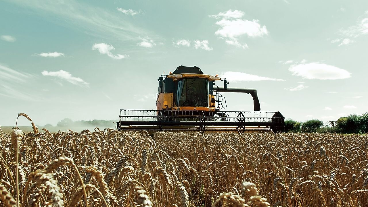 Agriculture european farming wheat combine harvester
